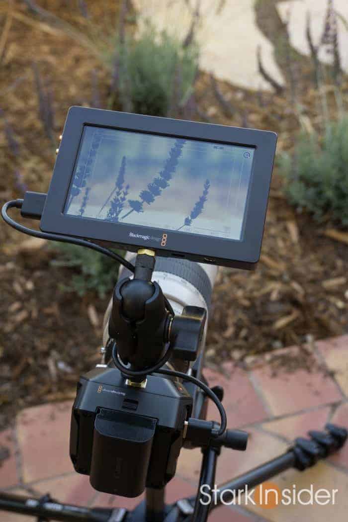 blackmagic-micro-cinema-camera-canon-c100-01046