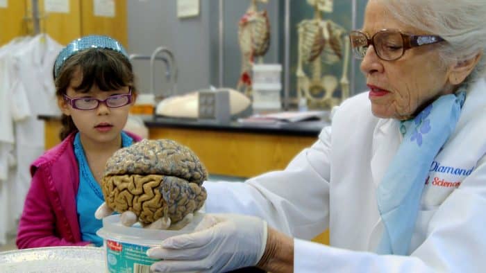 My Love Affair with the Brain: The Life and Science of Dr. Marian Diamond - Mill Valley Film Festival