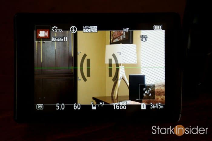 Panasonic GH5 LCD