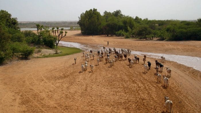 A scene from Rahmatou Keïta's THE WEDDING RING, playing at the 60th San Francisco International Film Festival, April 5 - April 19, 2017.