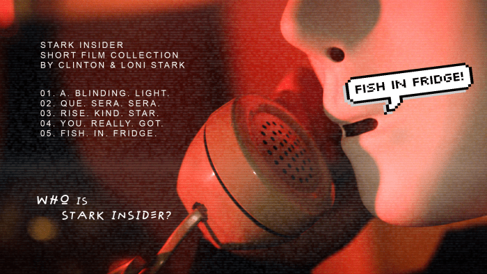 Who is Stark Insider? Short film collection by Clinton and Loni Stark