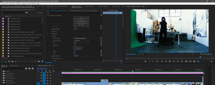 RED Redcode RAW r3d effect controls settings Premiere Pro