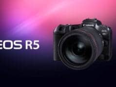 Canon EOS R5 or R6 vs Panasonic GH5 for shooting video
