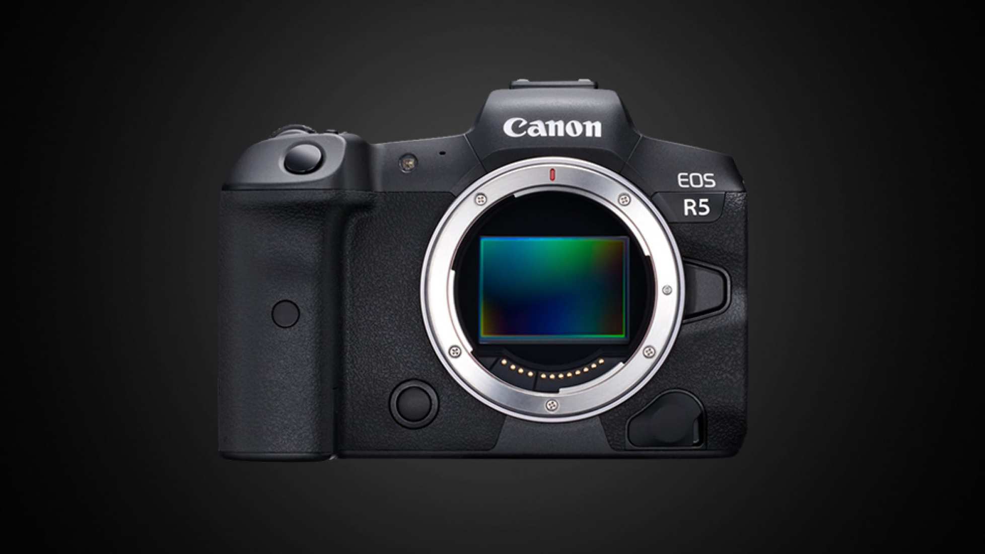 Canon EOS R5: Your days of blaming the camera are over – Stark Insider