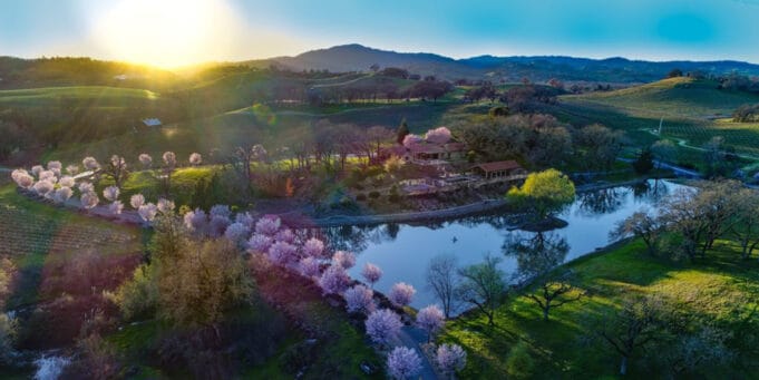 Sonoma County Vintners Foundation (SCVF) wine country experiences - Holiday Shopping Gift Giving Ideas