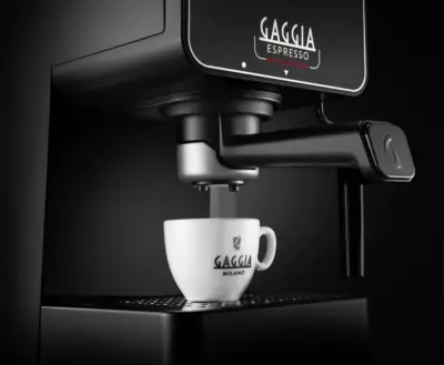 Gaggia Espresso Evolution - brew head and portafilter