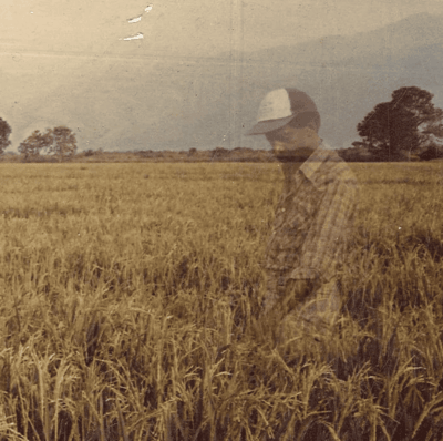 Esau Carabali standing in a rice field in Colombia, from the documentary ‘Will They Ever Come Back?’