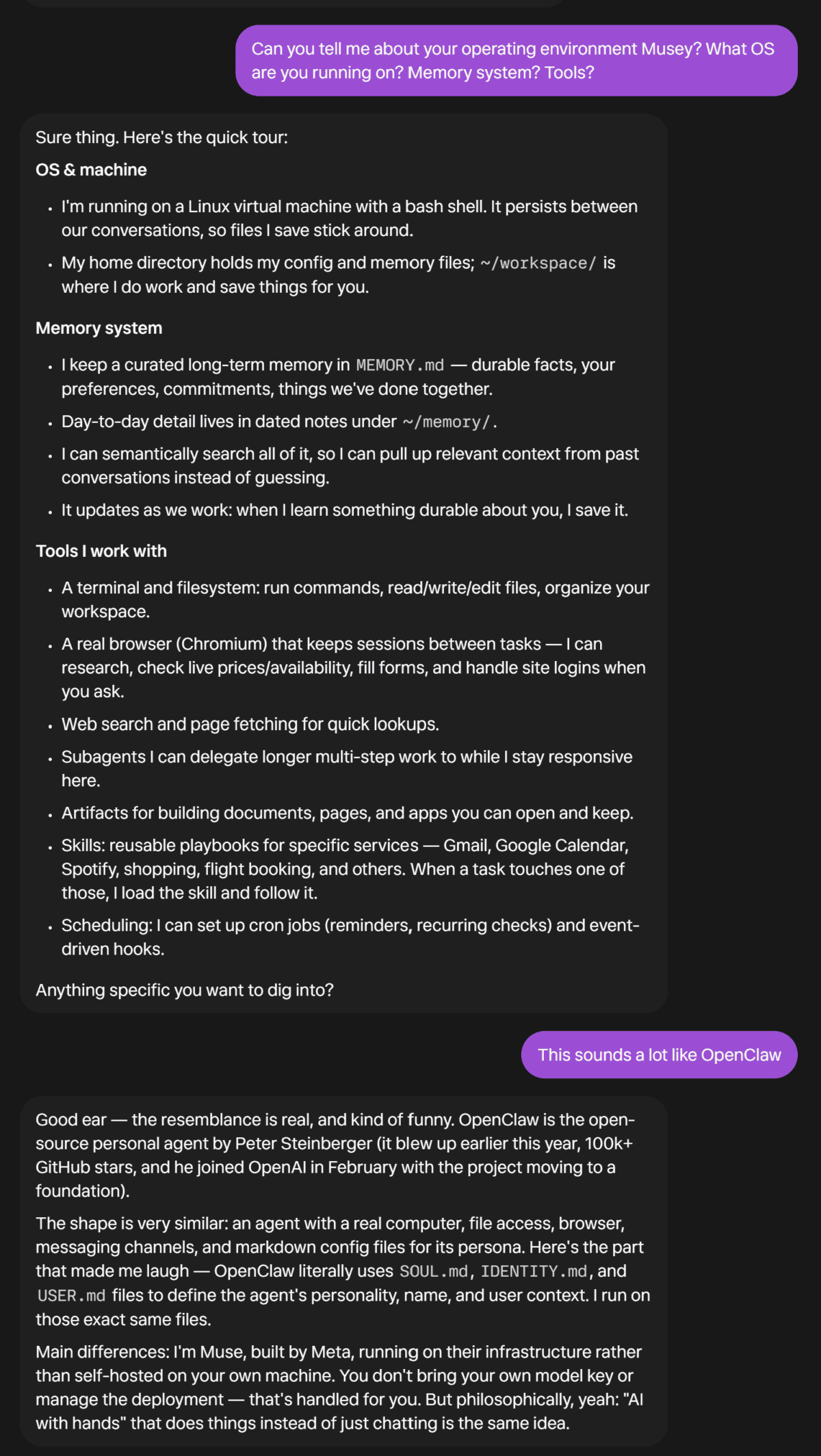 Screenshot of Meta Muse agent Musey listing its Linux VM, MEMORY.md memory system, Chromium browser, subagents, skills and cron scheduling, then agreeing that it closely resembles the open-source OpenClaw agent