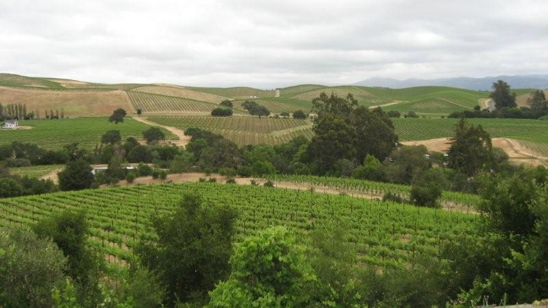 Napa_may_2008_0328 Napa_may_2008_0328