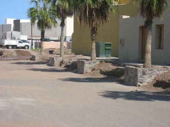 Stones around the trees on<br /> Vialidad IMG_3958