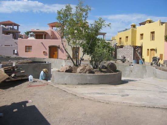 At work on the pool island with trees. How can you not enjoy life in Loreto Bay? IMG_3963