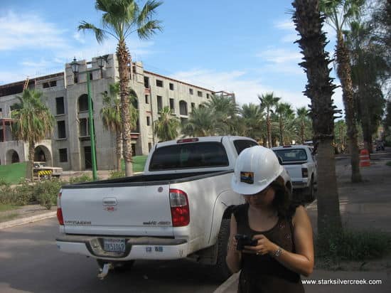 Loreto BlackBerry on Paseo near Posadas Loreto BlackBerry on Paseo near Posadas