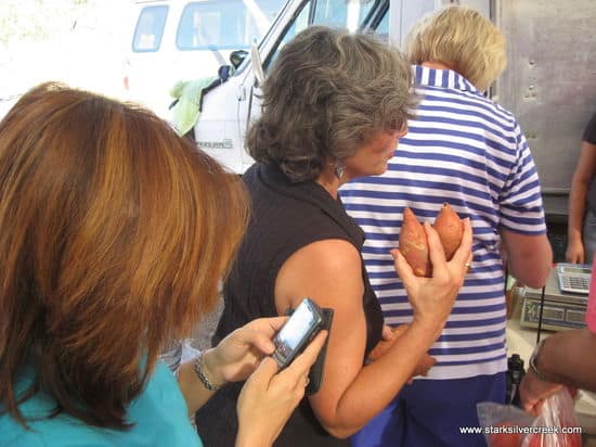 Loni Loreto BlackBerry from the Farmer's Market in Loreto, Baja Mexico Loni Loreto BlackBerry from the Farmer's Market in Loreto, Baja Mexico