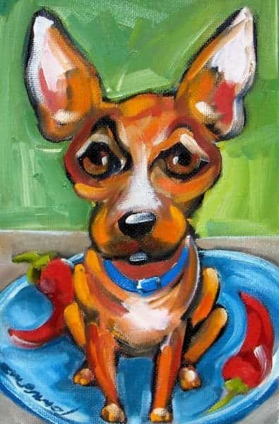 Chilidog - Animalandia Logo Chilidog - Animalandia Logo