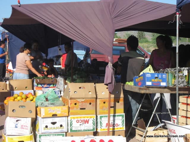Loreto-BCS-Farmers-Market-7